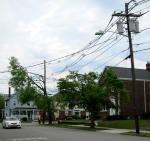 Beautiful Telephone/Electric Pole and Tree Abortions